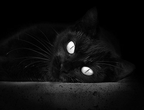 开云体育官网-数字化裁判员培训平台获得行业高度认可，提升裁判水平，裁判认证系统